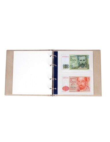 HOJA ALBUM DE BILLETES NUMIS 1 COMPARTIMENTO DE 165 MM. X 200 MM.