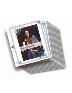 JUEGO HOJAS ALBUM PARA BILLETES DE ESPAÑA ALFONSO XIII 1889-1931 FILABO