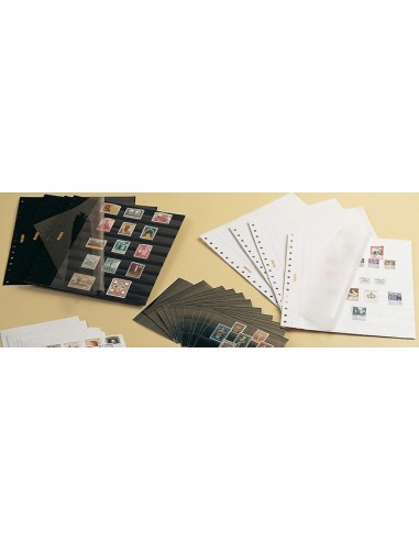 HOJA CLASIFICADORA EN CARTULINA RIGIDA PARA ALBUMES  ( 10 UNIDADES )