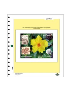 Hojas Filabo España - Prueba Calcografica 2