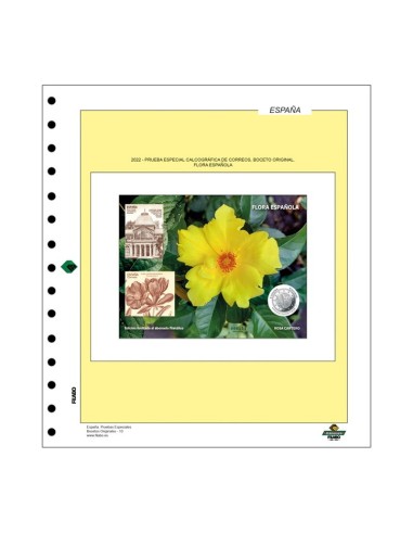 Hojas Filabo España - Prueba Calcografica